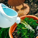 Bigjigs Silicone Watering Can (Assorted Colours)