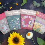 Sow 'n Sow Gift of Seeds (Assorted Styles)