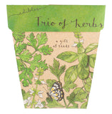 Sow 'n Sow Gift of Seeds (Assorted Styles)