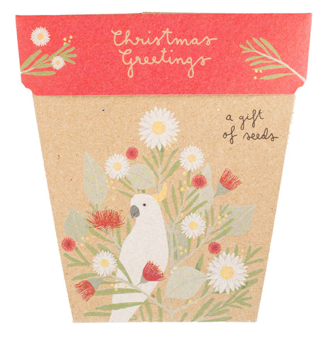 Sow 'n Sow Gift of Seeds (Assorted Styles)