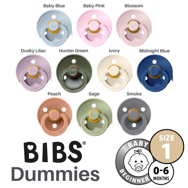Bibs Dummies Size (0-6 Months) 2pk – Warrnambool Breastfeeding