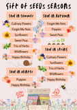 Sow 'n Sow Gift of Seeds (Assorted Styles)