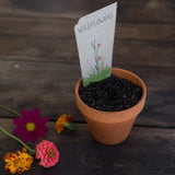 Sow 'n Sow Gift of Seeds (Assorted Styles)