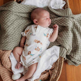 Snuggle Hunny Short Sleeve Bodysuit (Assorted Sizes/Patterns)