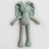 Snuggle Bunny