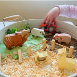 Tender Leaf Toys 13 Farm Animals