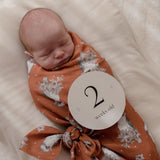 Little Koala Living Baby Swaddle Wrap