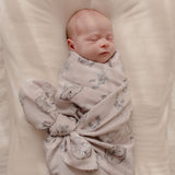 Little Koala Living Baby Swaddle Wrap