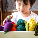Tara Treasures Felt Fruit & Veg Set B (11pc)