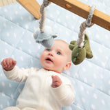 Living Textiles Stroller Toys 2pk Dinosaurs