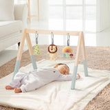 Tooky Toy My Forest Friends Baby Gym