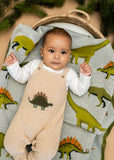 Viverano Organic Jacquard Knit Baby Blanket - Green Dinosaur