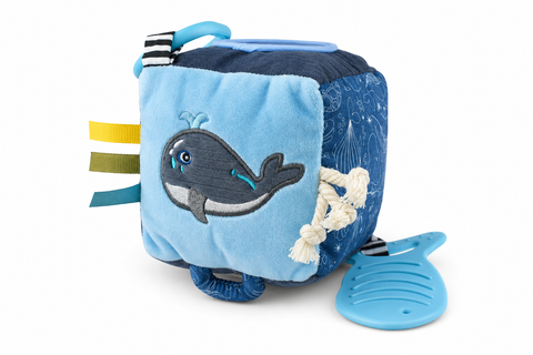 Koala Dream Splashy Whale Discovery Cube