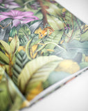Marini Ferlazzo Nelly the Numbat Search & Find Picture Book