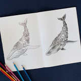 Marini Ferlazzo Australian Bushwalk Colouring Book