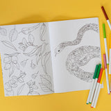 Marini Ferlazzo Australian Bushwalk Colouring Book
