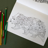 Marini Ferlazzo Australian Bushwalk Colouring Book
