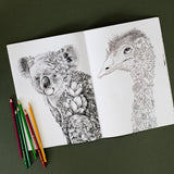 Marini Ferlazzo Australian Bushwalk Colouring Book