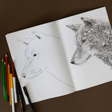 Marini Ferlazzo Australian Bushwalk Colouring Book