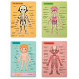 Tooky Toy Magnetic Body Chart