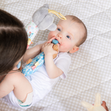 Playground Box 1: Hello World (0-3M)