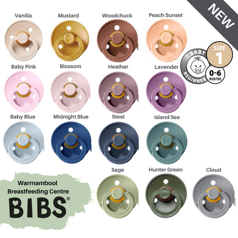 Bibs Dummies Size 1 0 6 Months 2pk